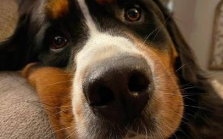 V体育官方app-伯恩山重点训练，为接下来比赛做好准备