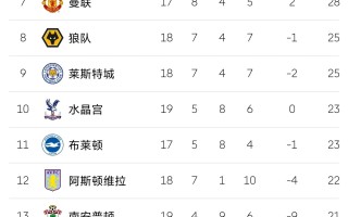 V体育官方app-热刺客场战平诺里奇，积分榜上升至第五