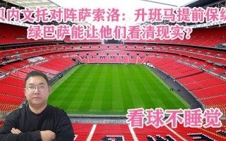 V体育-贝内文托主场不敌乌迪内斯，保级形势陷入困境